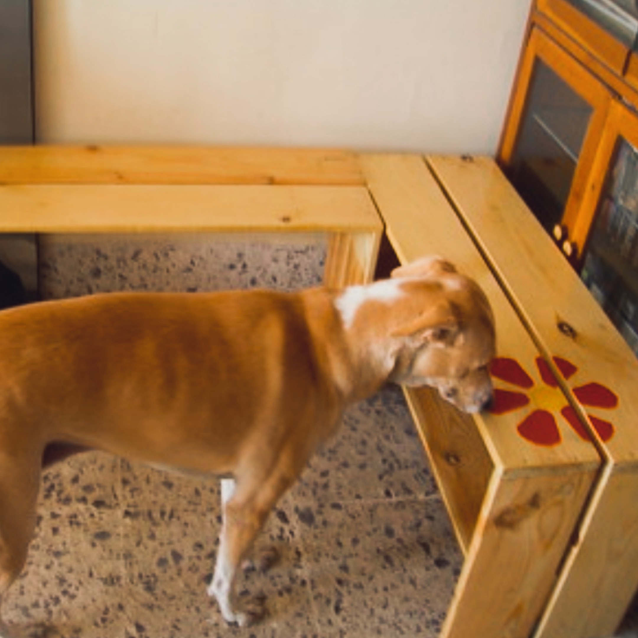 L-shaped pine corner bench with a painted red daisy motif — Nabina's dog is exploring underneath it