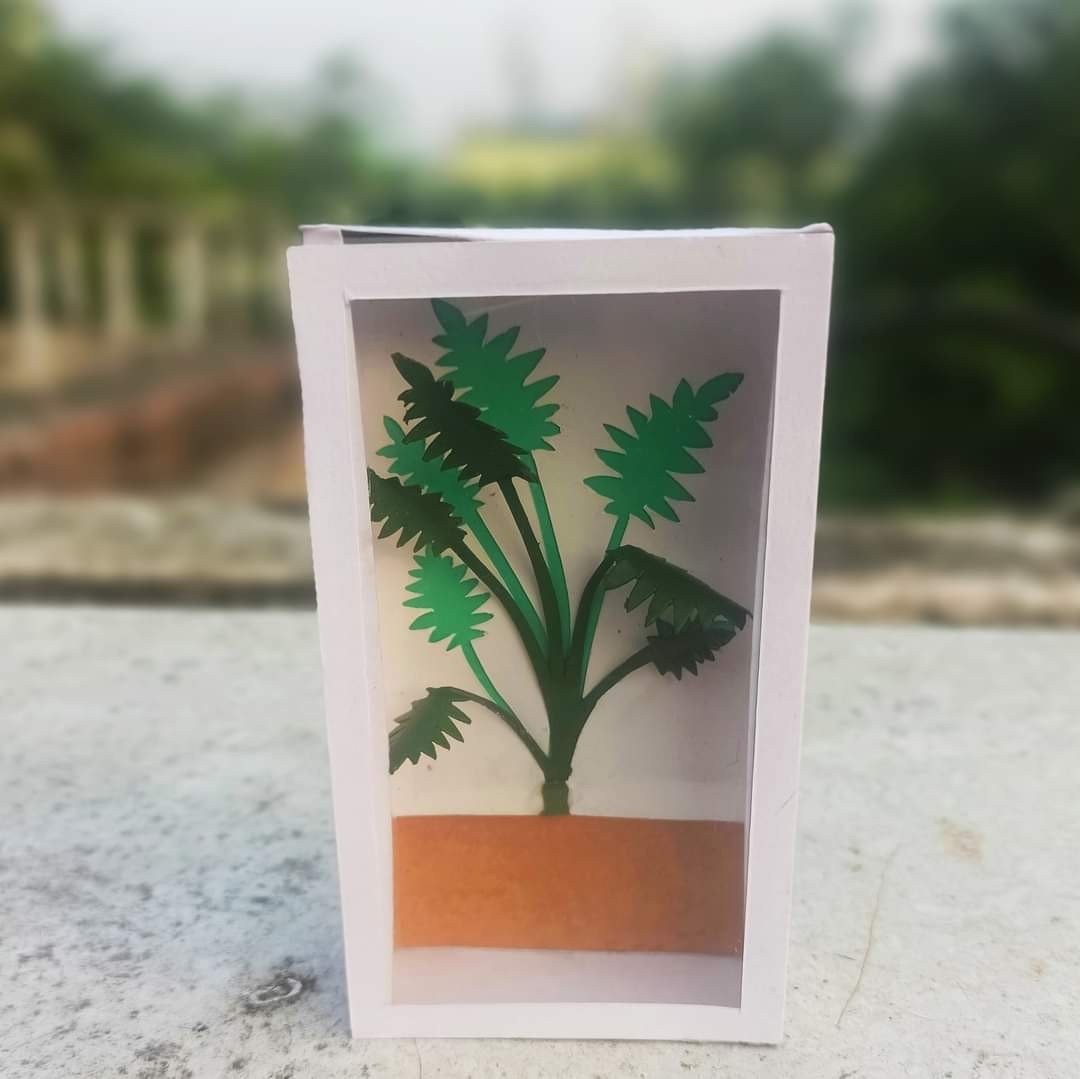 White box with a window opening showing a green paper houseplant in a terracotta-coloured pot, photographed outdoors